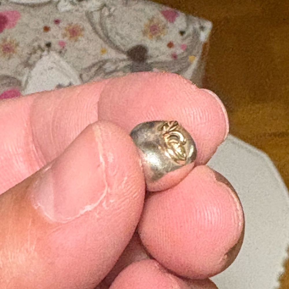 Retired two tone pandora apple of my pie charm